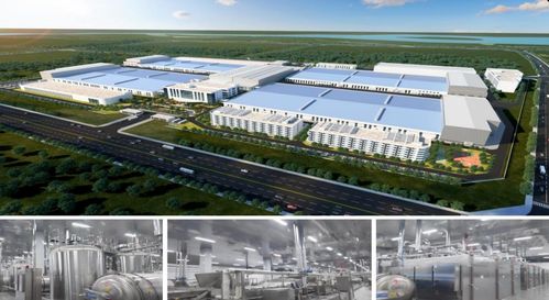 濟寧市2023年下半年綠色低碳高質量發展現場觀摩會 無窮食品泗水生產基地建設項目