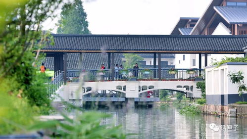 住在風景里，何必還要去找風景——宜興網站建設讓美麗鄉村觸手可及